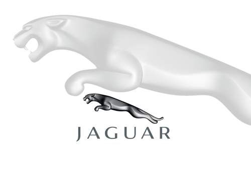 default image
